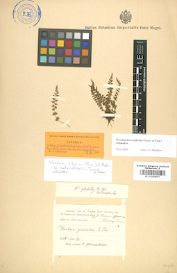 LE 01006097
