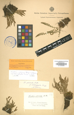 LE 01006098