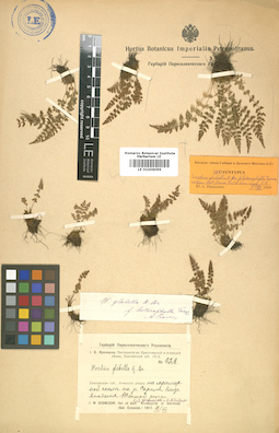 LE 01006099