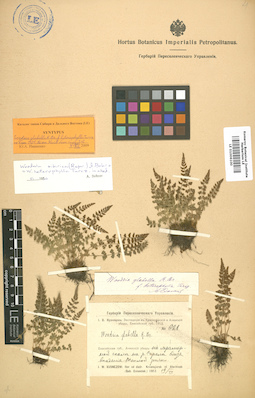 LE 01006100