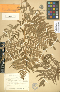 LE 01006107