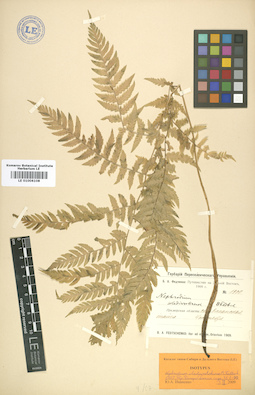 LE 01006108