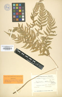 LE 01006109