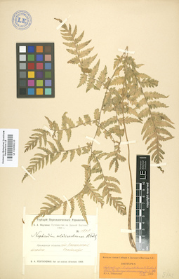 LE 01006110