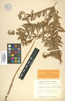 LE 01006112
