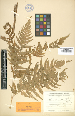 LE 01006113