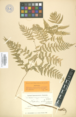 LE 01006114