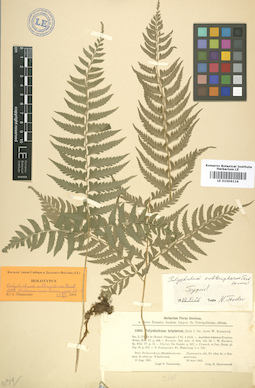 LE 01006116