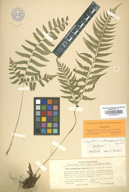 LE 01006117