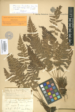 LE 01006124