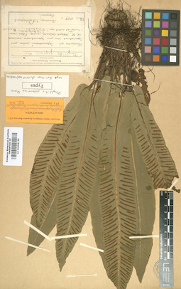 LE 01006139