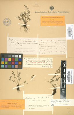 LE 01006143