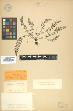 LE 01006144