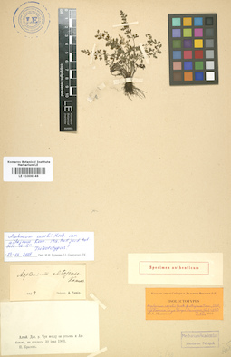 LE 01006146