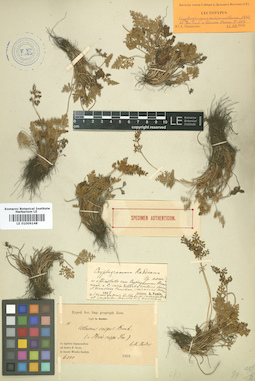 LE 01006148