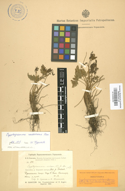 LE 01006150