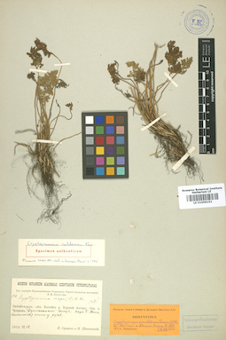 LE 01006151