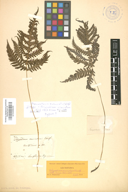 LE 01006155