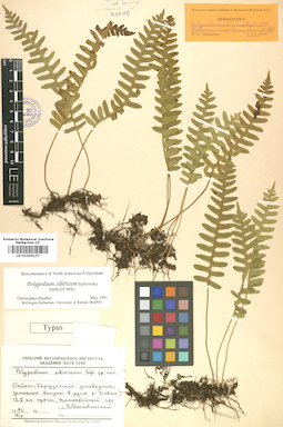 LE 01006157