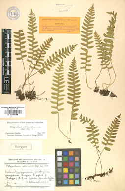 LE 01006158