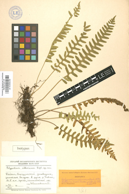 LE 01006159