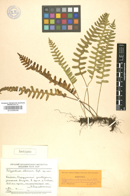 LE 01006160