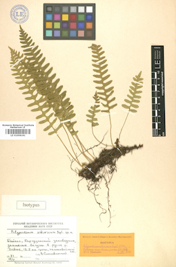 LE 01006161