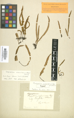 LE 01006162