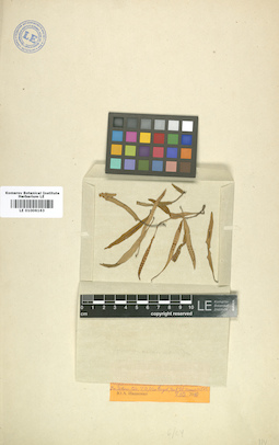 LE 01006163