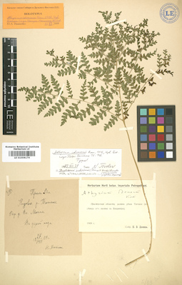 LE 01006174