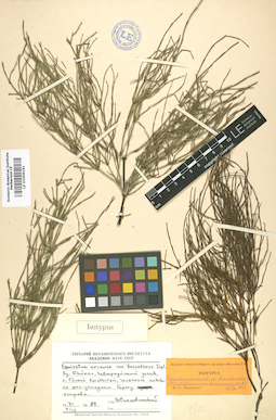 LE 01006191