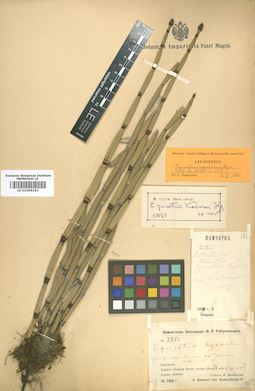 LE 01006192