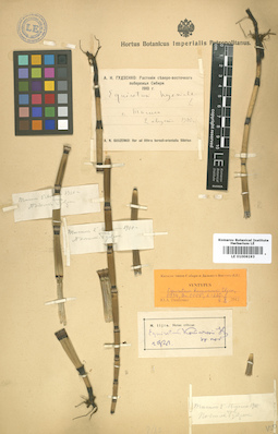 LE 01006193