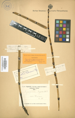LE 01006194
