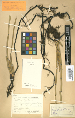 LE 01006195