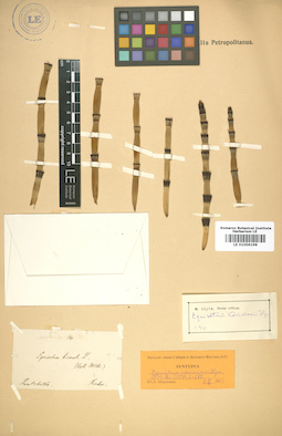 LE 01006198
