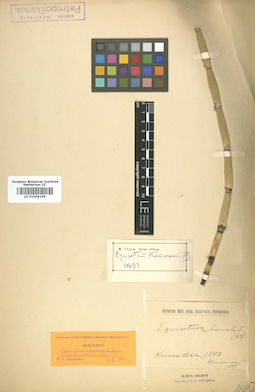 LE 01006199