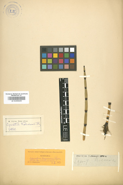 LE 01006200