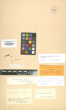 LE 01006202