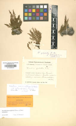 LE 01006204