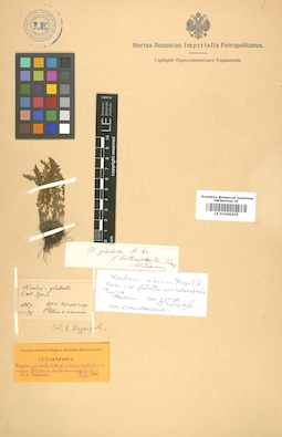 LE 01006205