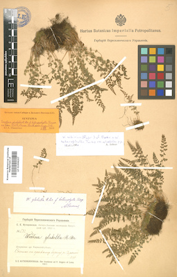 LE 01006207