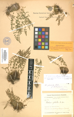 LE 01006208