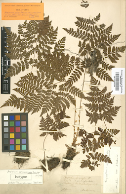 LE 01006239