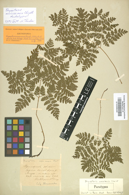 LE 01006240