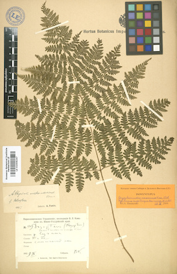 LE 01006247