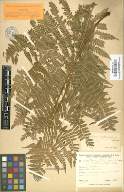 LE 01006248