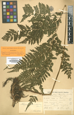 LE 01006250