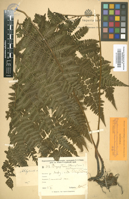 LE 01006252
