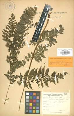 LE 01006254